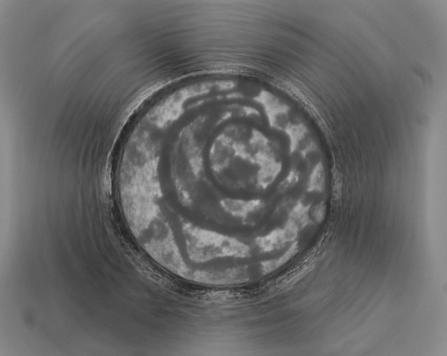 X0000113080883200909250947
