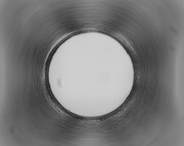 X0000113080884200909250947