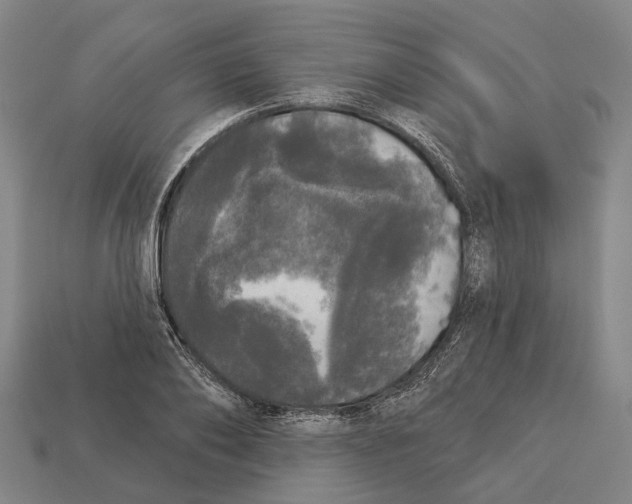 X0000113080886200909250947