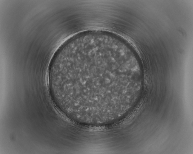 X0000113080887200909250947