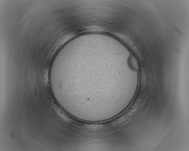 X0000113080889200909250947