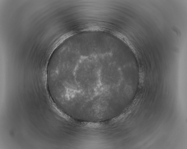 X0000113080890200909250947