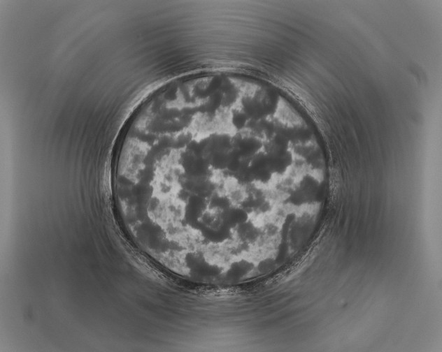 X0000113080891200909250947