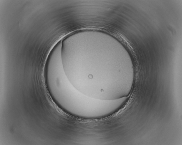 X0000113080892200909250947