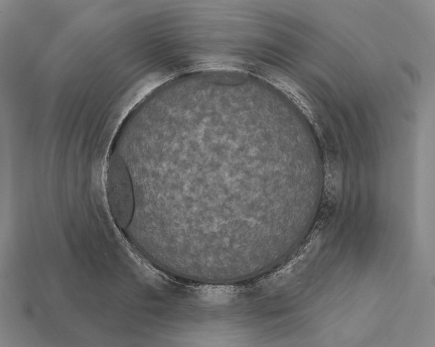 X0000113080893200909250947
