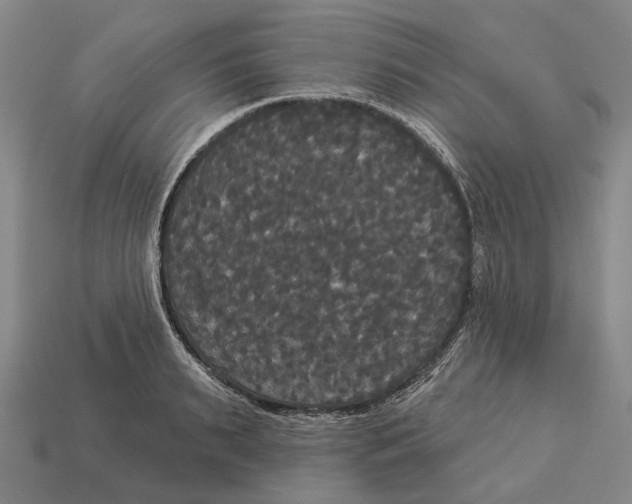 X0000113080895200909250947
