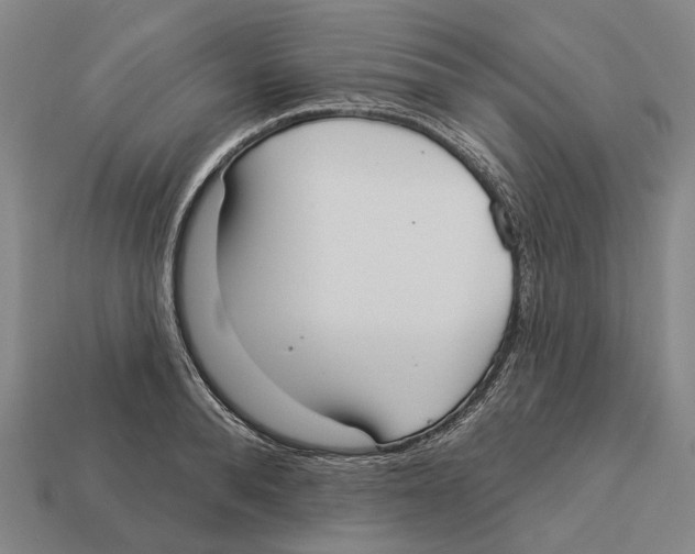 X0000113080896200909250947
