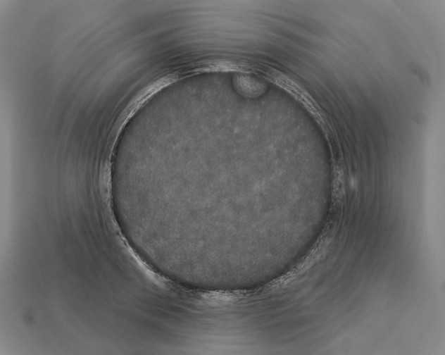 X0000113080898200909250947