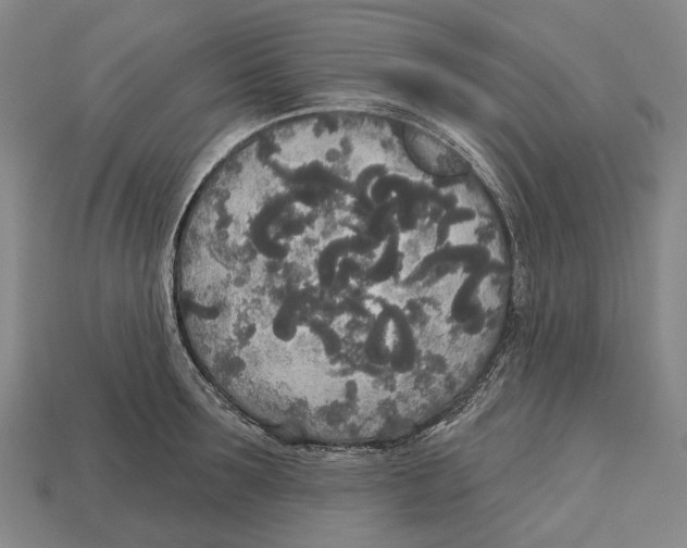 X0000113080899200909250947