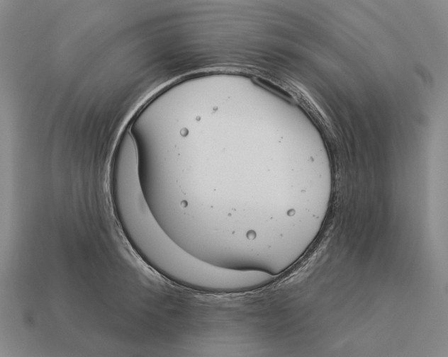 X0000113080900200909250947