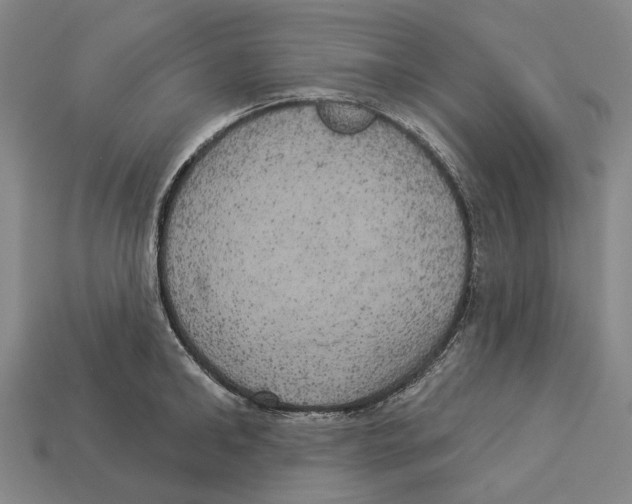 X0000113080902200909250947