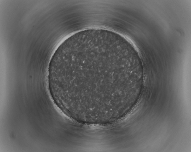 X0000113080903200909250947