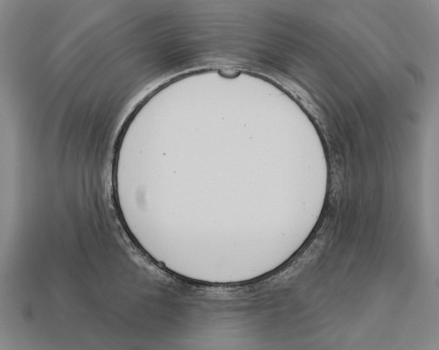 X0000113080904200909250947