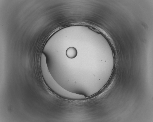 X0000113080905200909250947