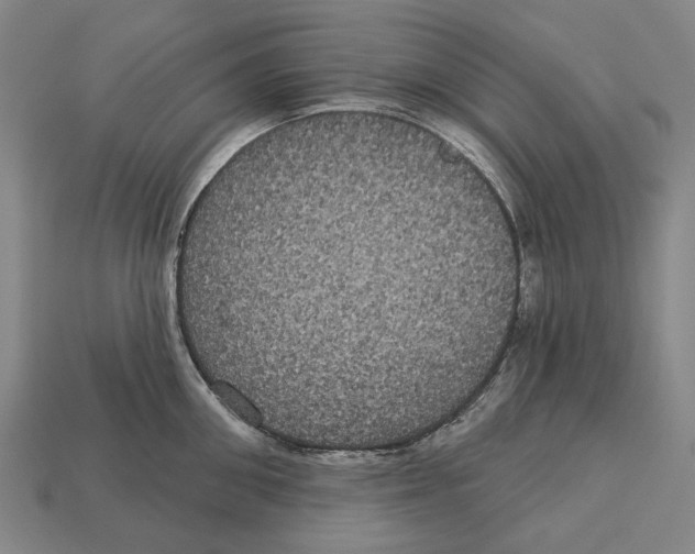 X0000113080906200909250947