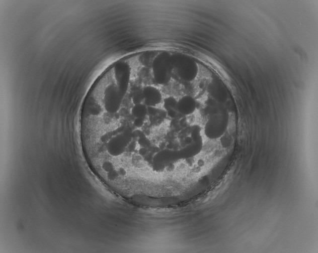 X0000113080907200909250947