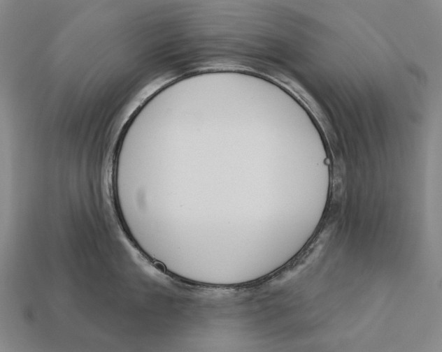 X0000113080909200909250947