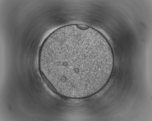 X0000113080910200909250947