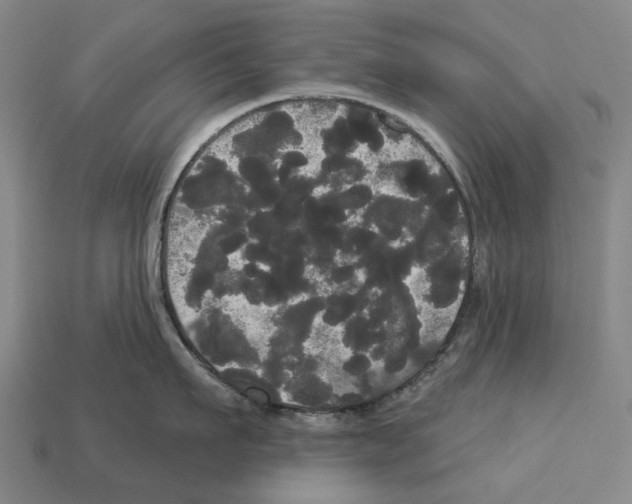X0000113080911200909250947