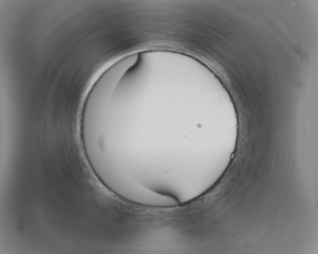 X0000113080912200909250947