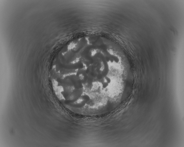 X0000113080913200909250946