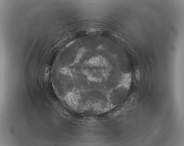 X0000113080914200909250946