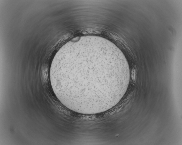 X0000113080915200909250946
