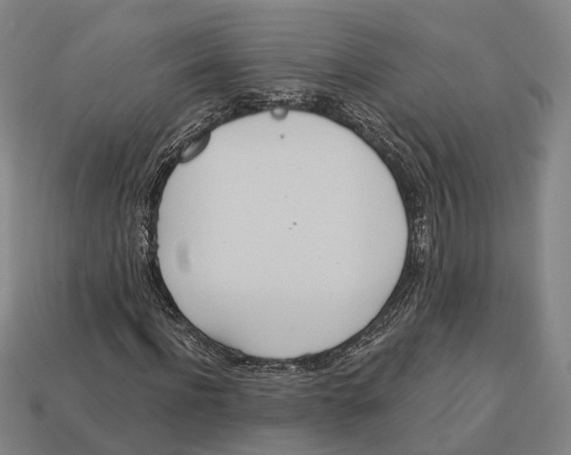 X0000113080916200909250946