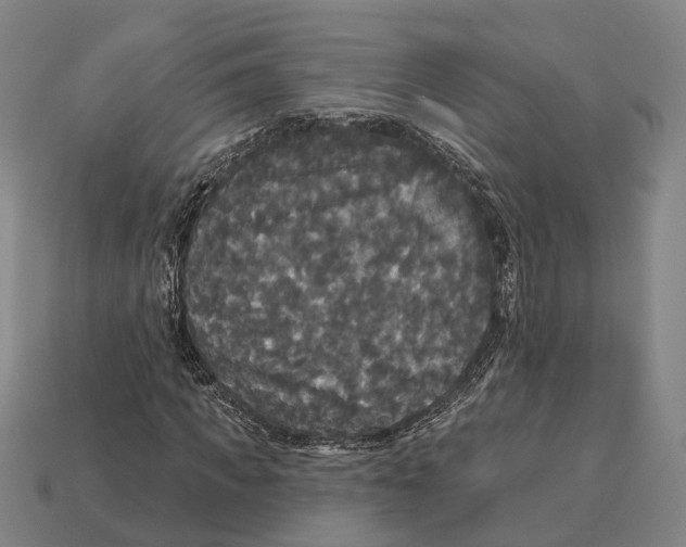 X0000113080917200909250946
