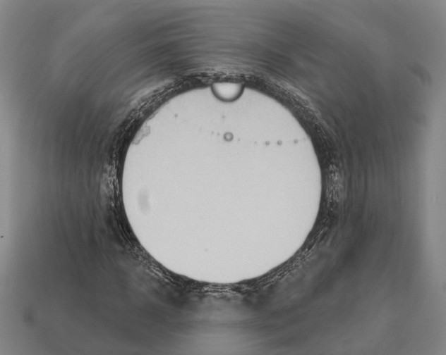 X0000113080918200909250946