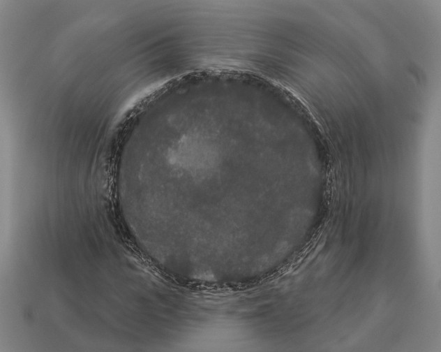 X0000113080919200909250946