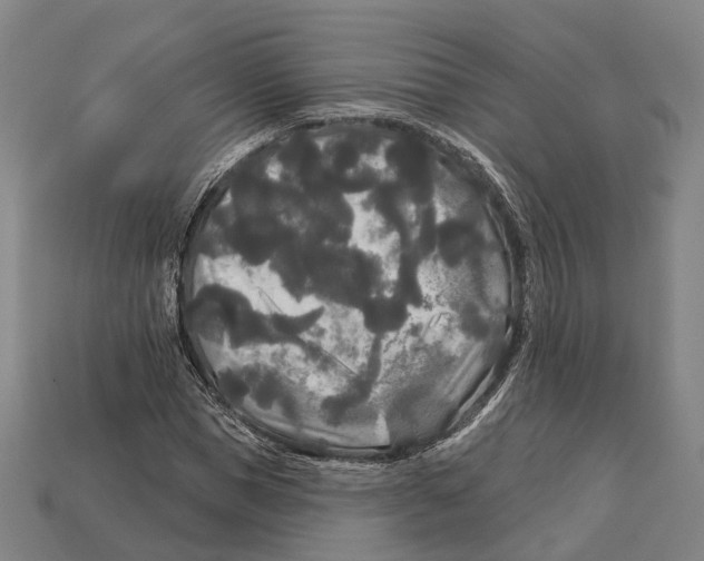 X0000113080921200909250946