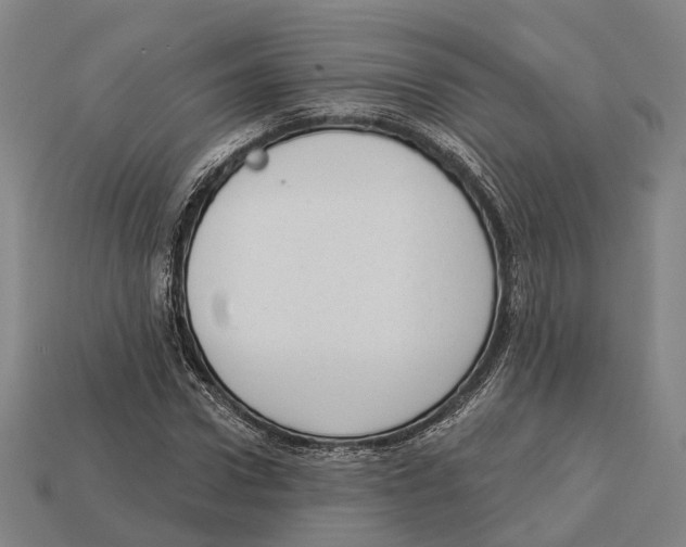 X0000113080922200909250946