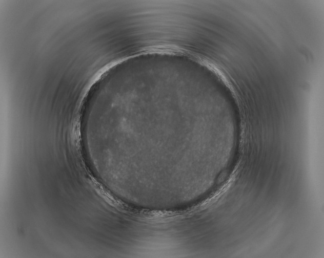 X0000113080923200909250946