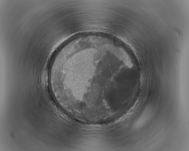 X0000113080925200909250946
