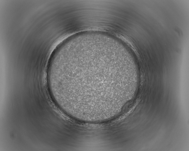 X0000113080928200909250946
