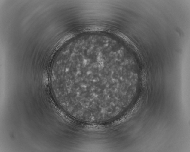 X0000113080929200909250946