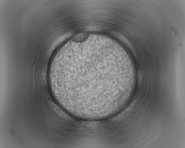 X0000113080930200909250946