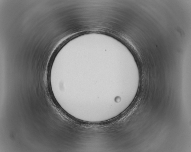 X0000113080932200909250946