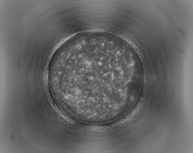 X0000113080933200909250946