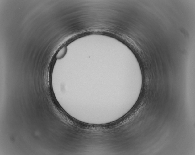 X0000113080934200909250946