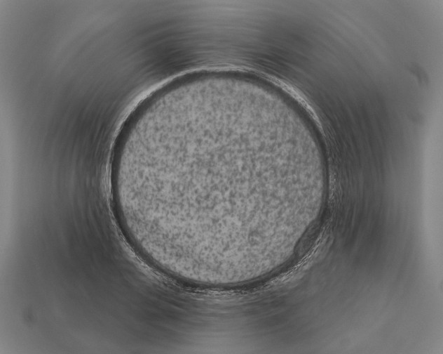 X0000113080935200909250946