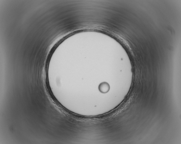 X0000113080936200909250946