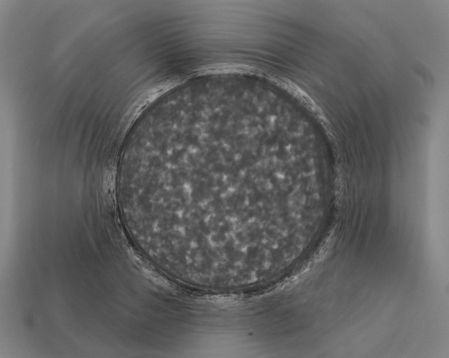 X0000113080937200909250946