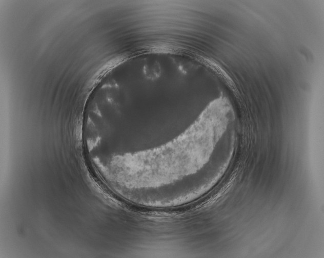 X0000113080938200909250946