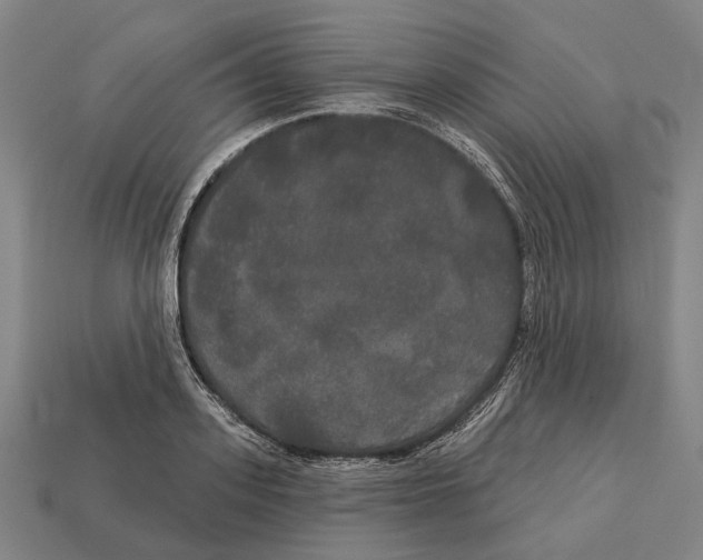 X0000113080939200909250946