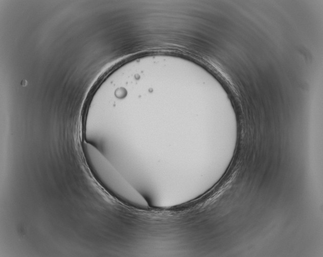 X0000113080940200909250946