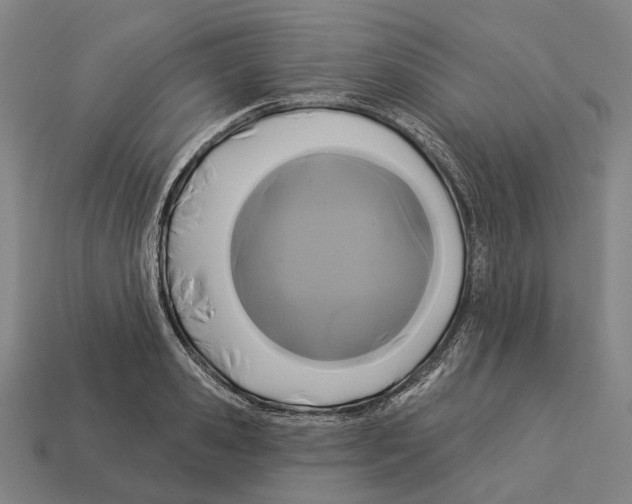 X0000113080941200909250946
