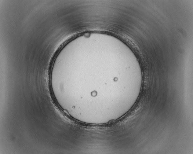 X0000113080942200909250946