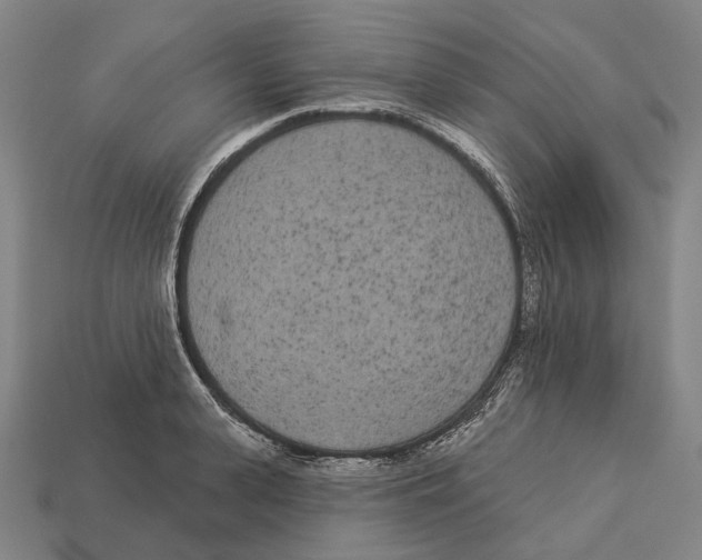 X0000113080943200909250946